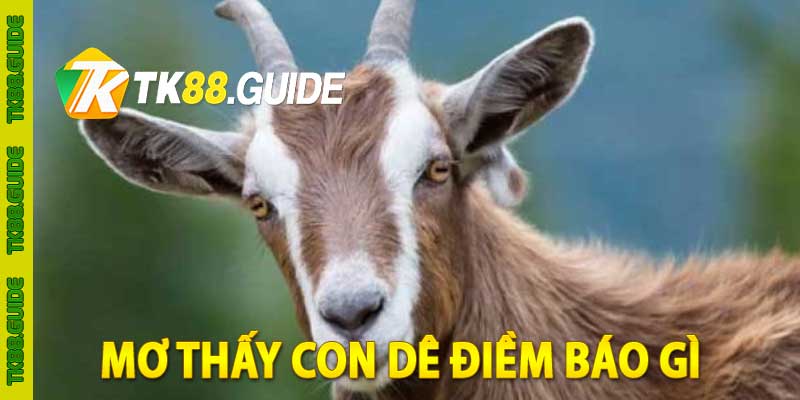 mơ thấy con dê điềm báo gì